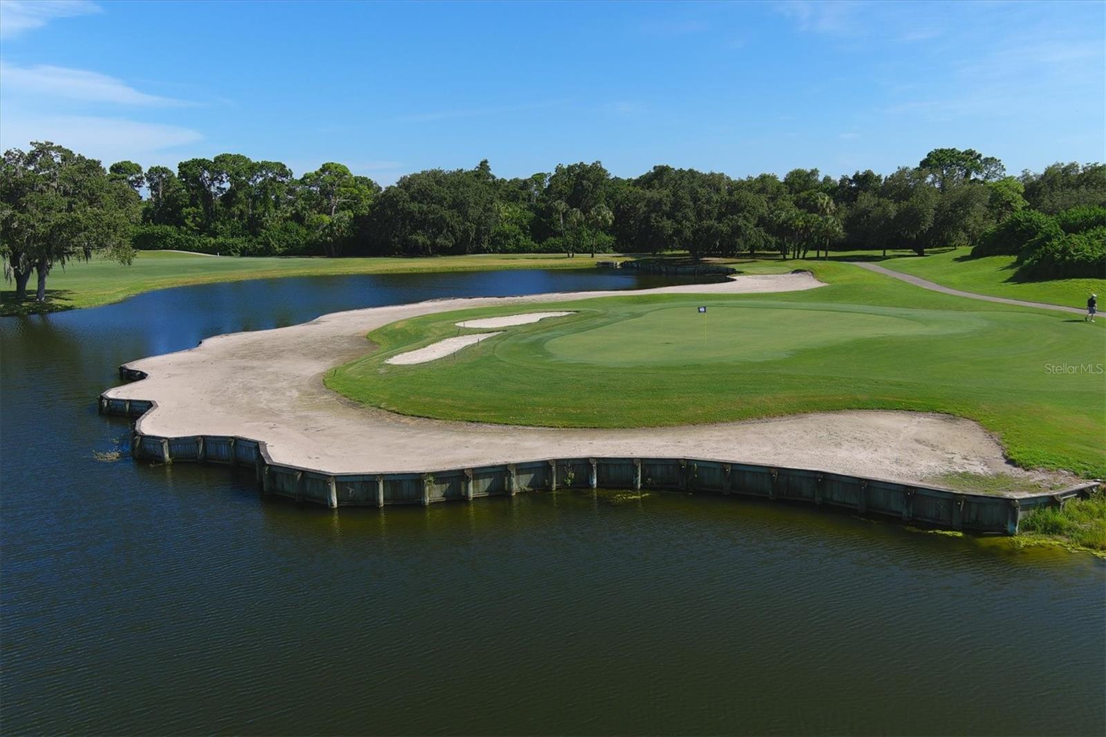 Image 65 of 75 For 4221 Escondito Circle