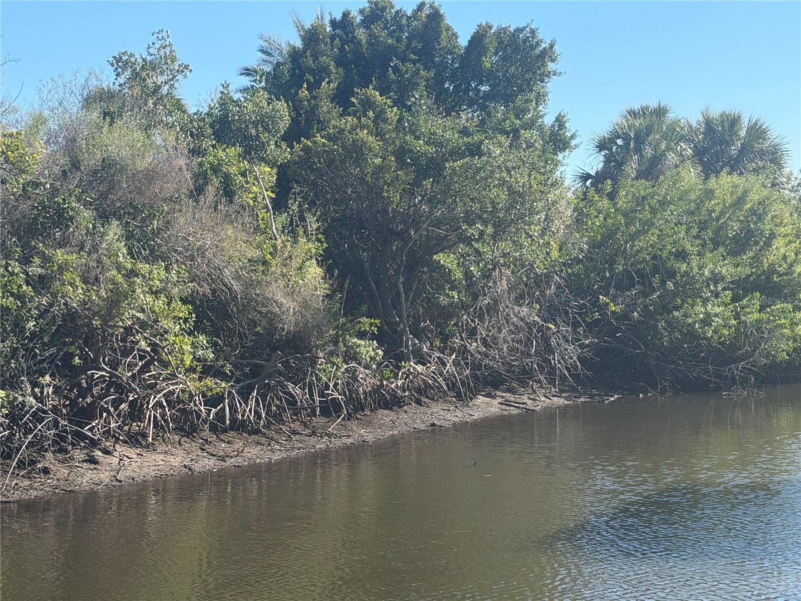 Image 10 of 15 For 2402 Larkspur Drive