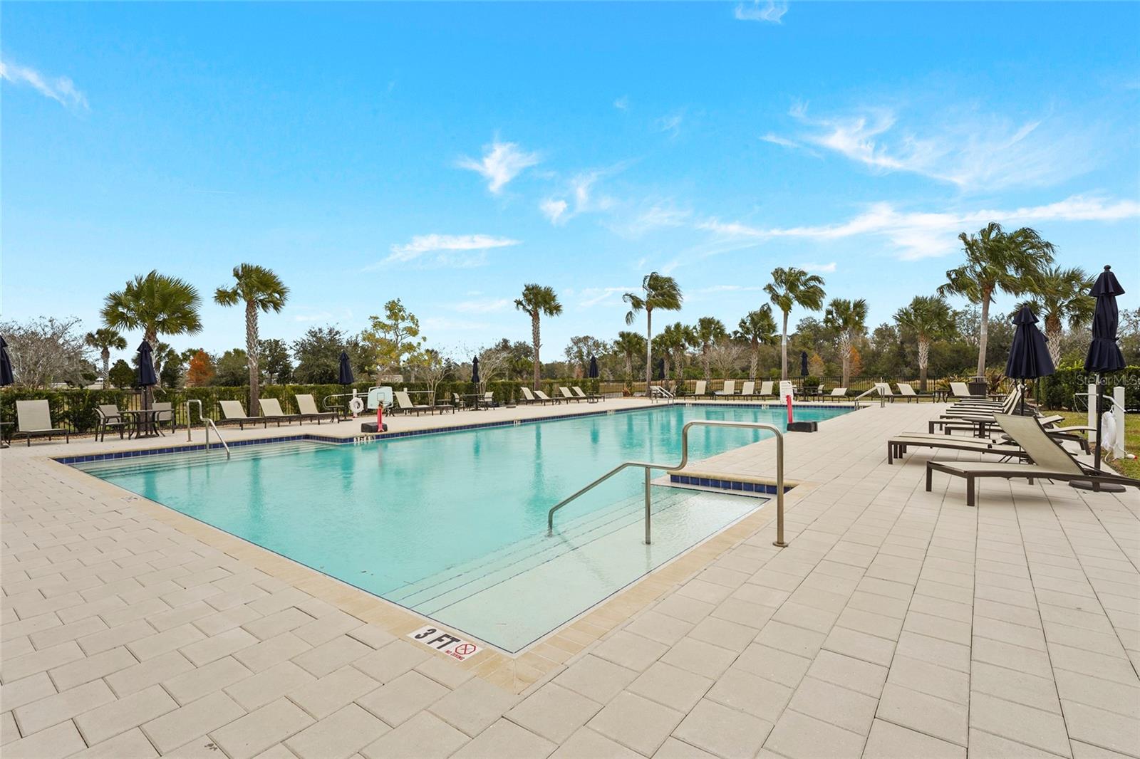 Image 16 of 84 For 13506 Saw Palm Creek Trail