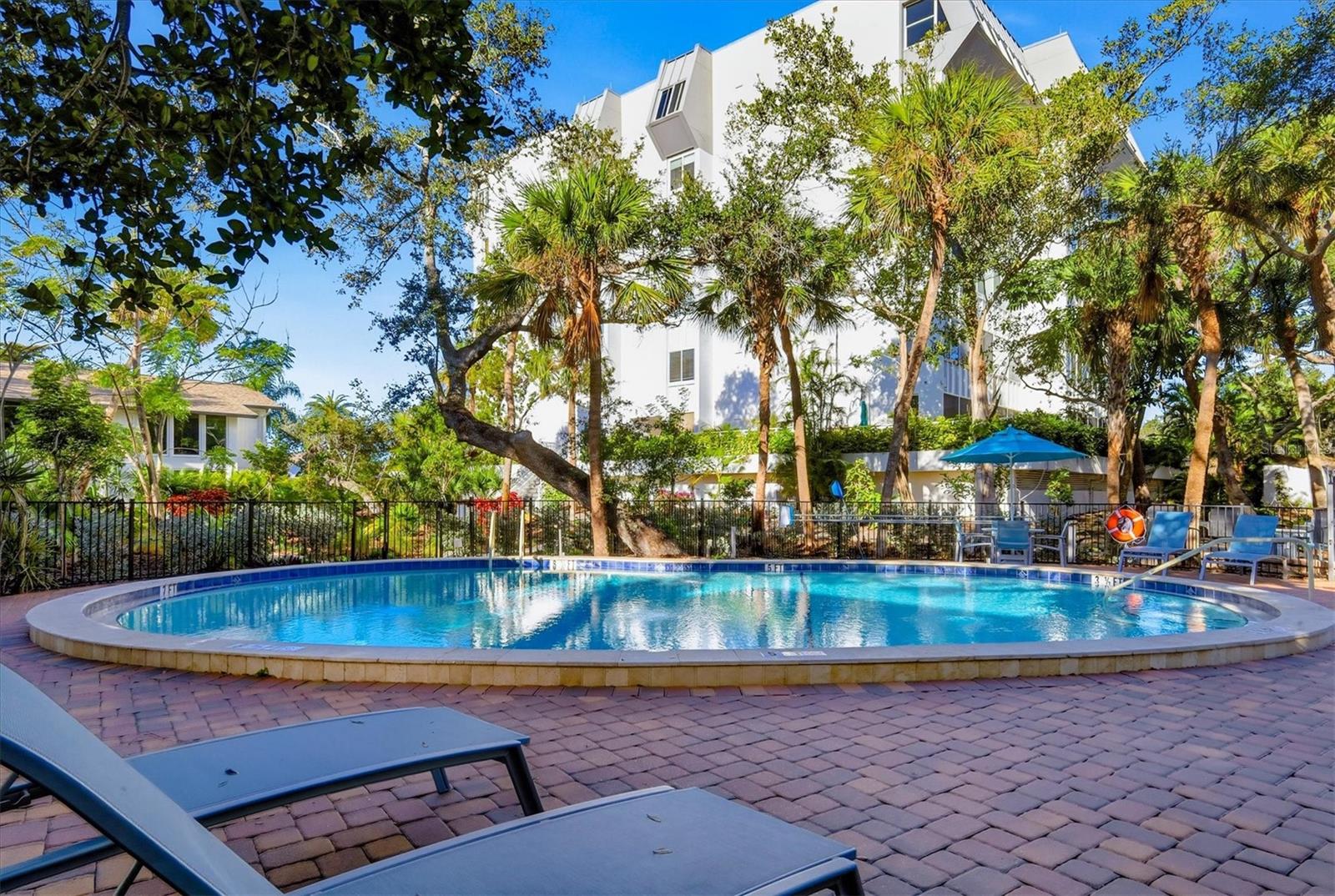 Image 33 of 46 For 1201 Peppertree Drive 234