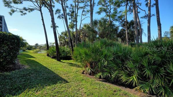 Image 34 of 59 For 9559 Forest Hills Circle