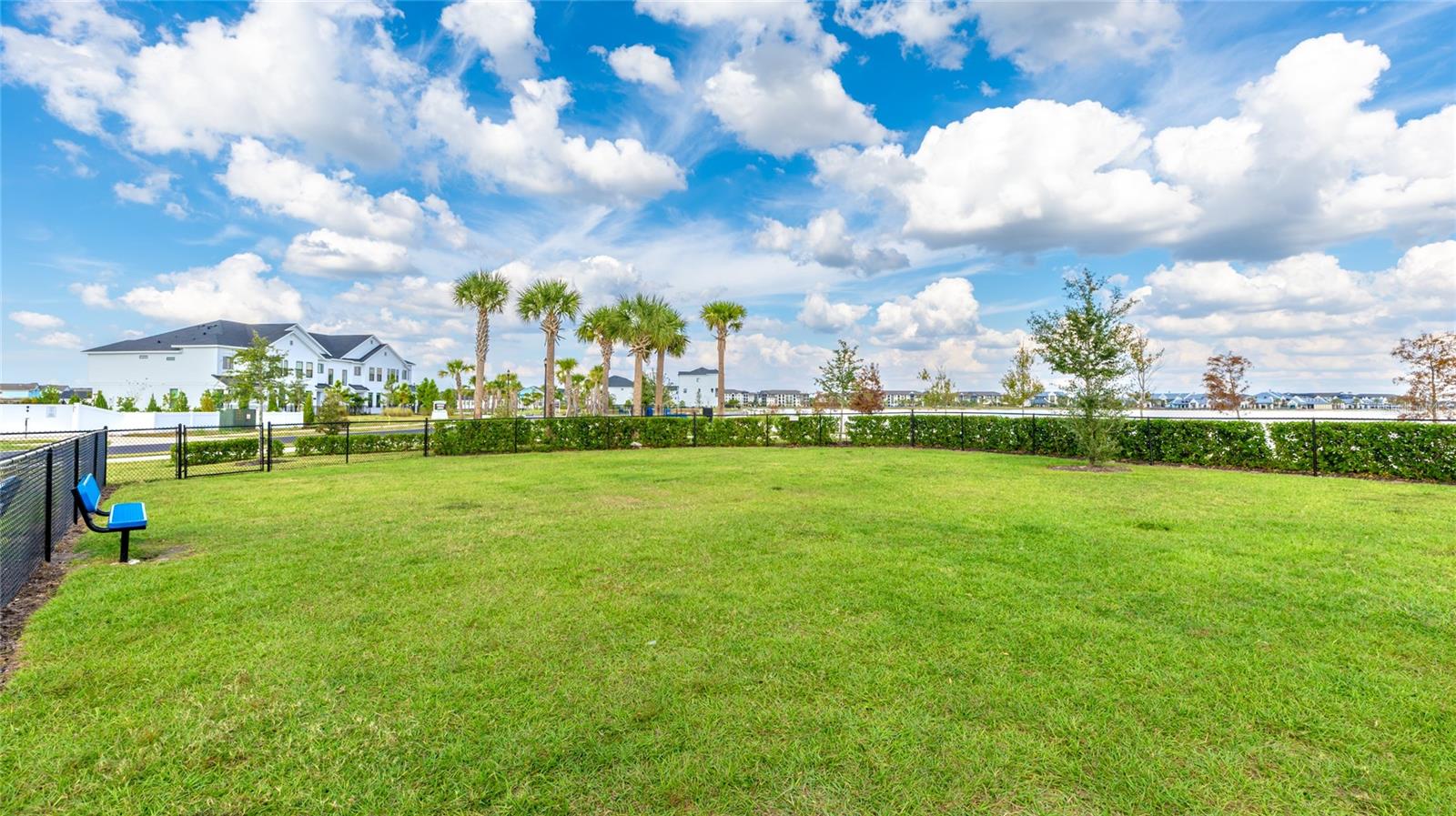 Image 41 of 62 For 1808 Fender Lane