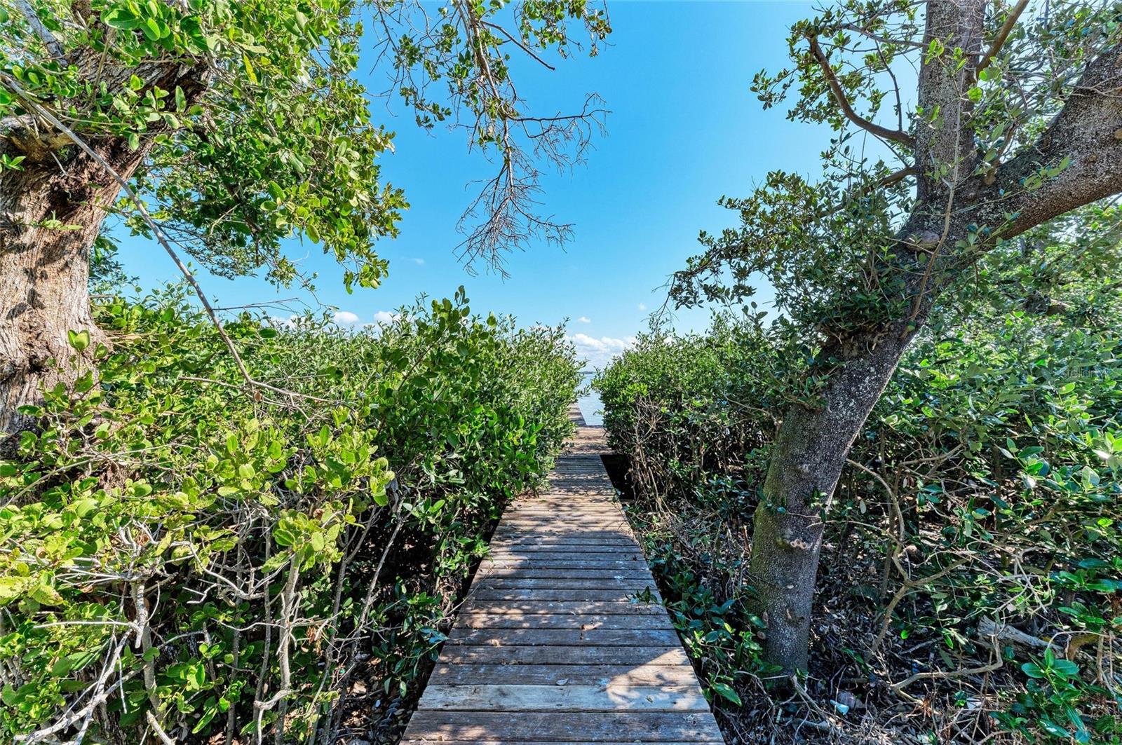 Image 34 of 39 For 2308 Canasta Drive