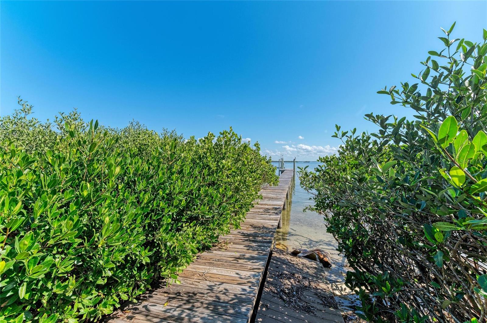 Image 35 of 39 For 2308 Canasta Drive