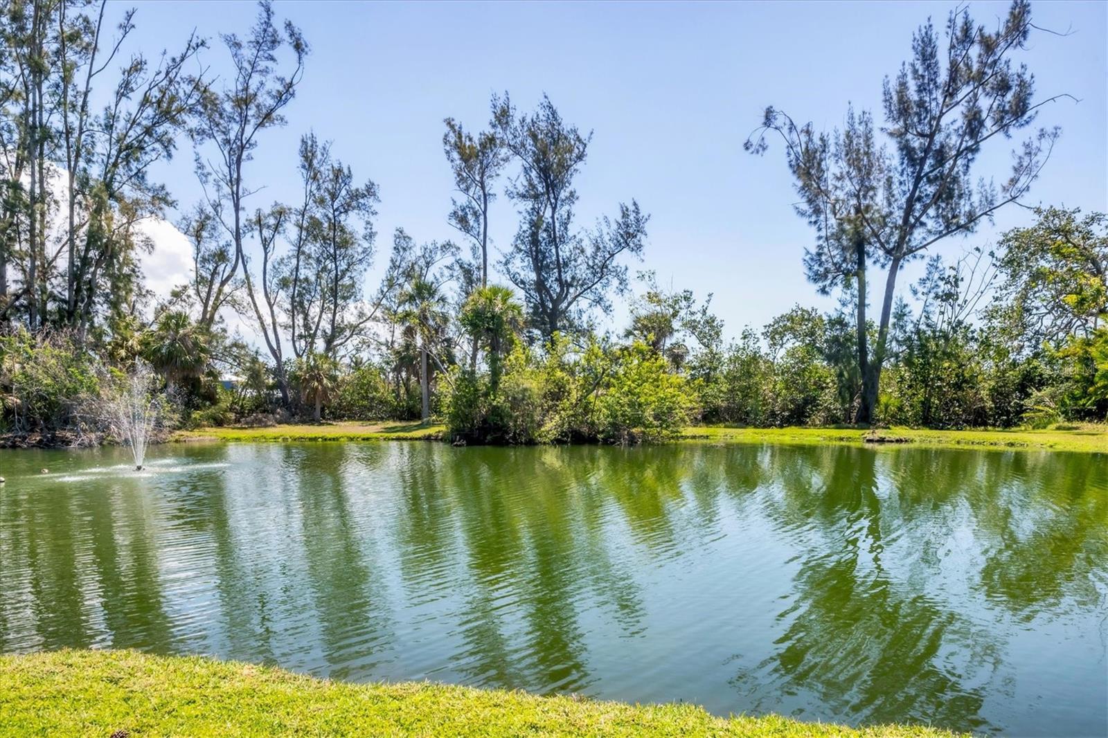 Image 51 of 57 For 112 Jose Gaspar Drive 112