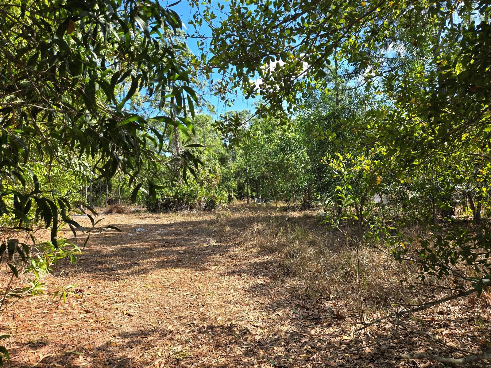 Details for 12312 Green Gulf Boulevard, PUNTA GORDA, FL 33955