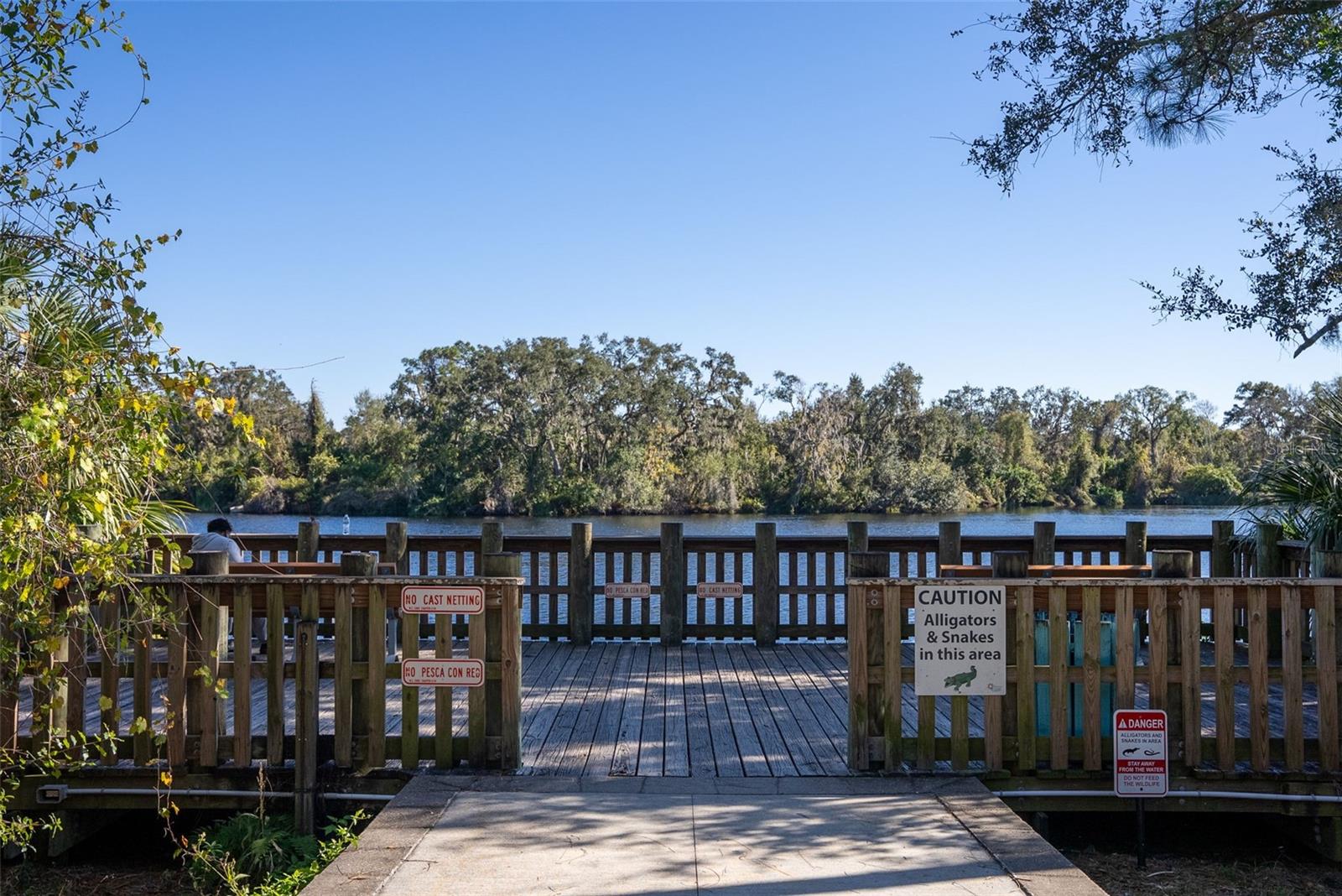 Image 53 of 60 For 8023 Desoto Woods Drive