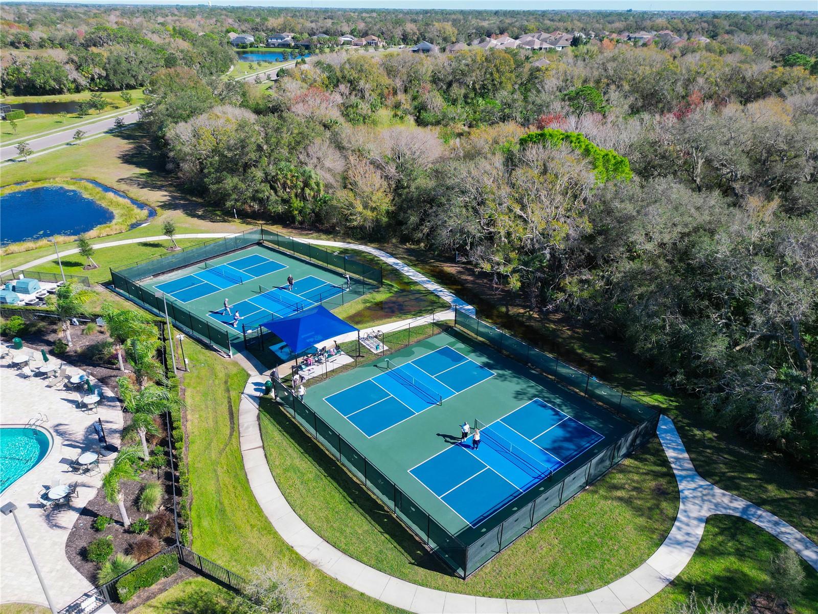 Image 34 of 41 For 348 Snapdragon Loop