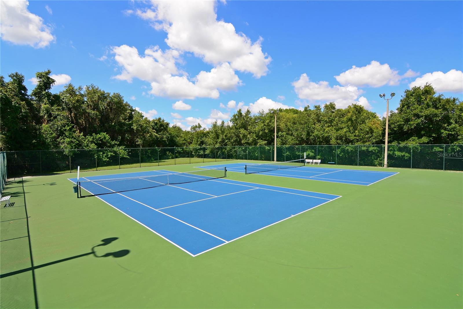 Image 38 of 41 For 348 Snapdragon Loop