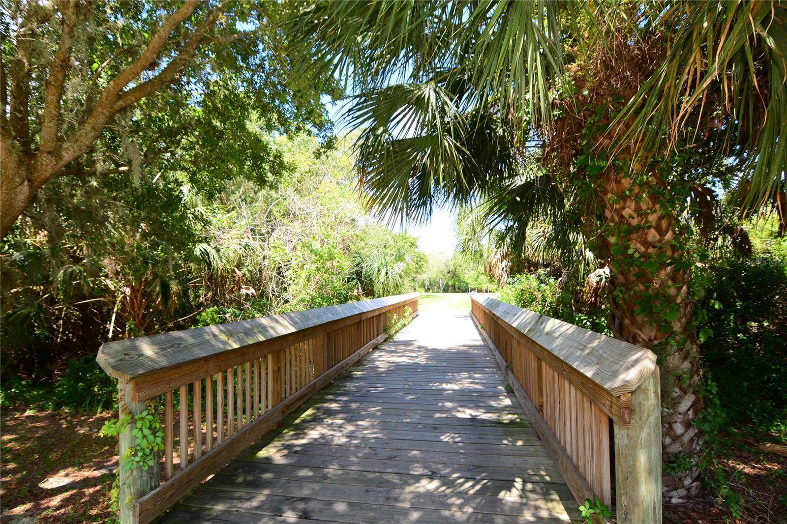 Image 41 of 41 For 348 Snapdragon Loop