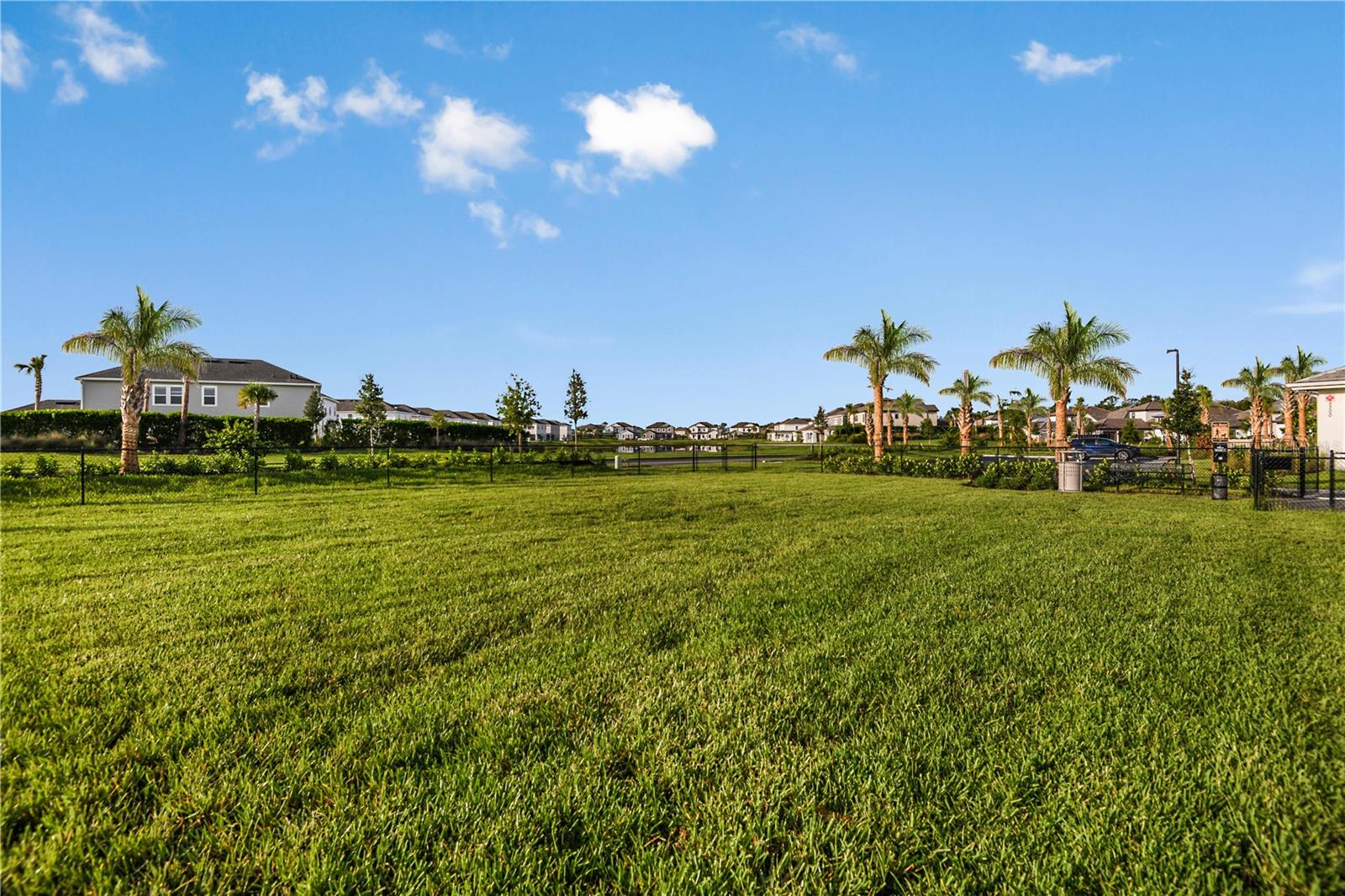 Image 47 of 100 For 8572 Snowfall Street