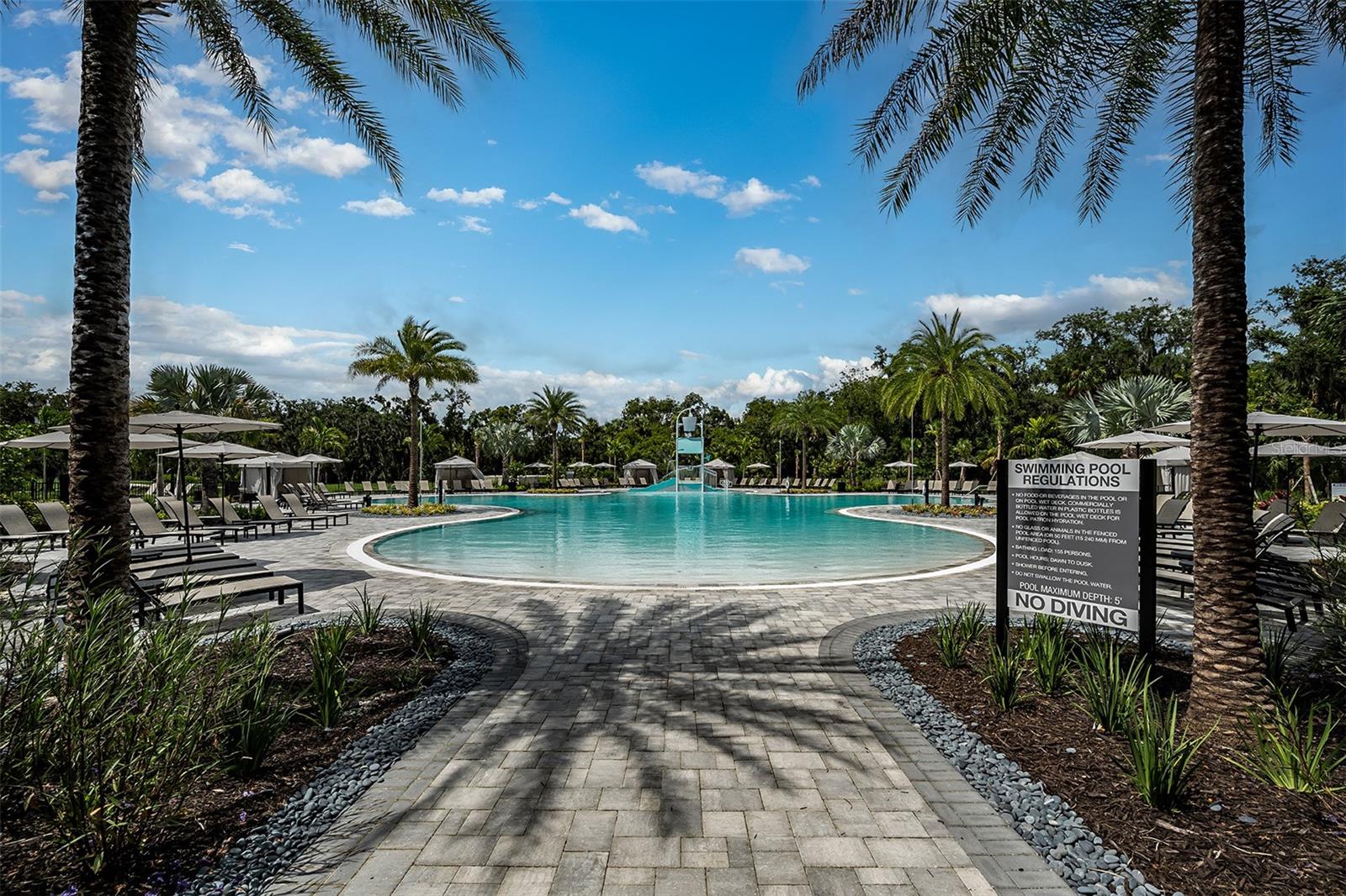 Image 99 of 100 For 8572 Snowfall Street