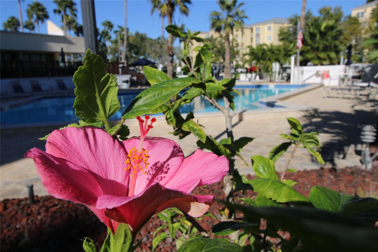 Image 29 of 50 For 401 150th Avenue 223