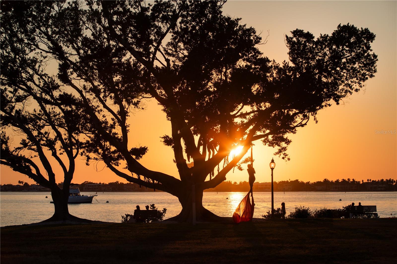 Image 10 of 14 For 1390 Main Street  804