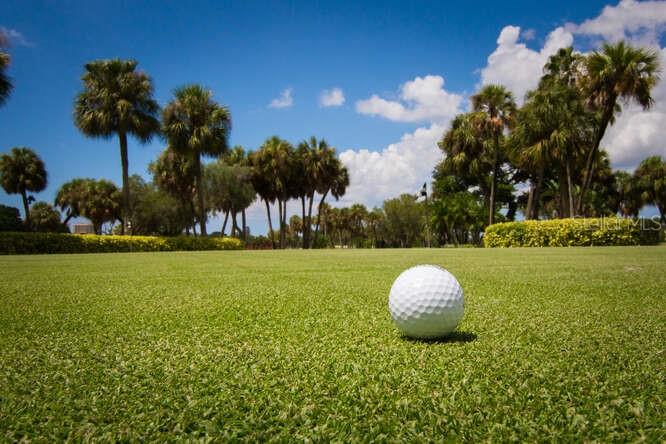 Image 27 of 32 For 250 Sands Point Road 5203