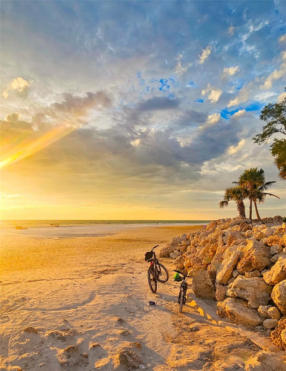 Image 43 of 43 For 8750 Midnight Pass Road 302