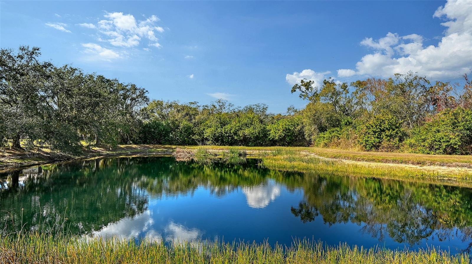 Image 4 of 42 For 406 116th Street E