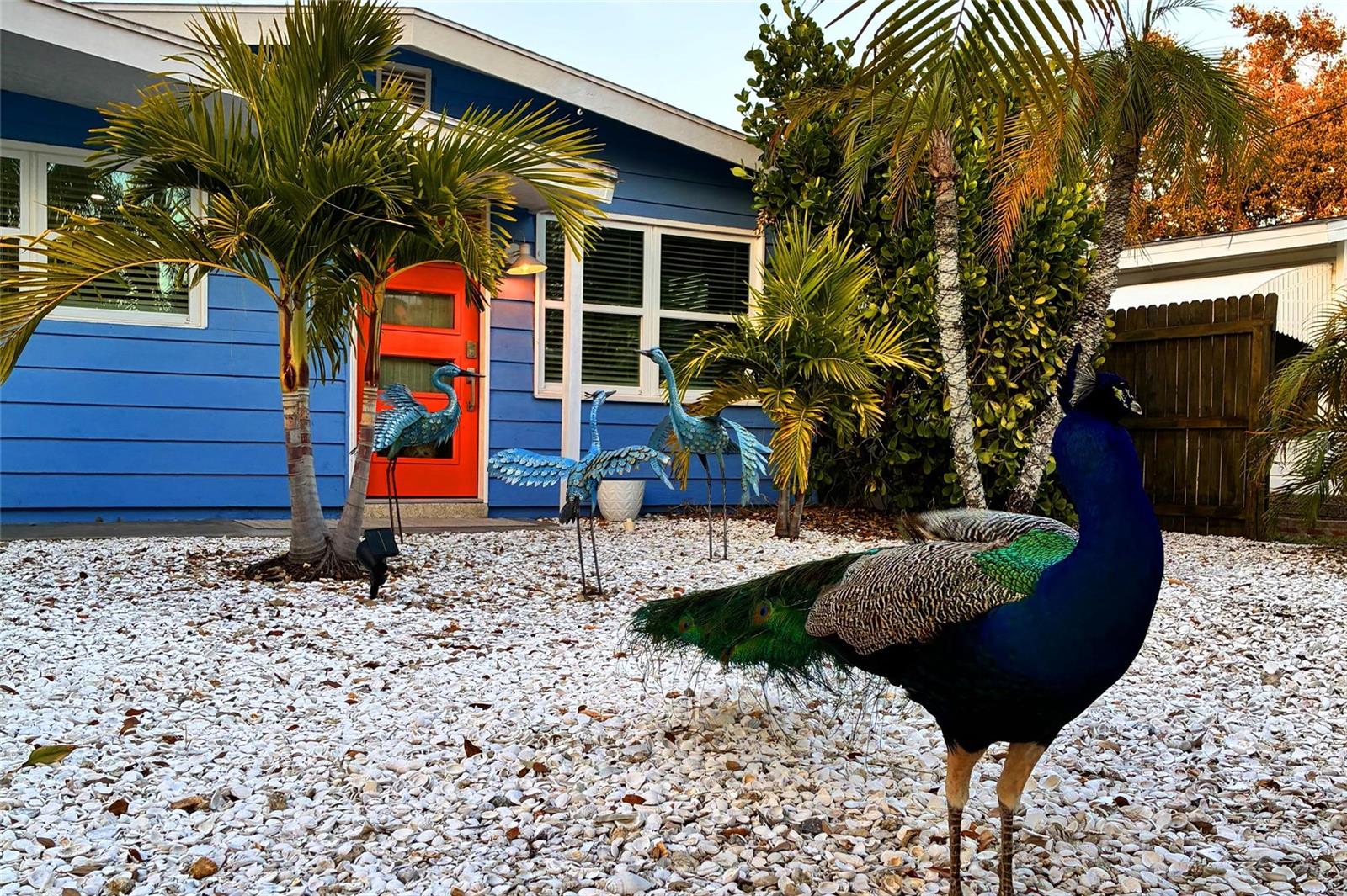 Image 60 of 64 For 821 41st Street