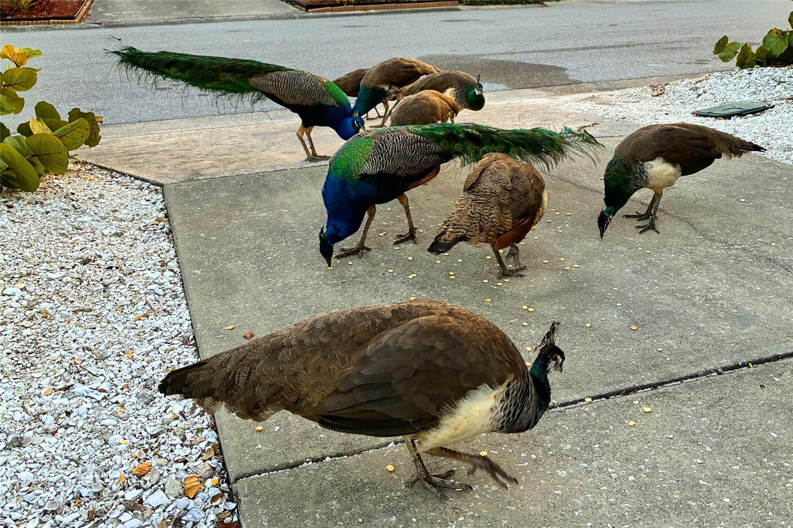 Image 61 of 64 For 821 41st Street