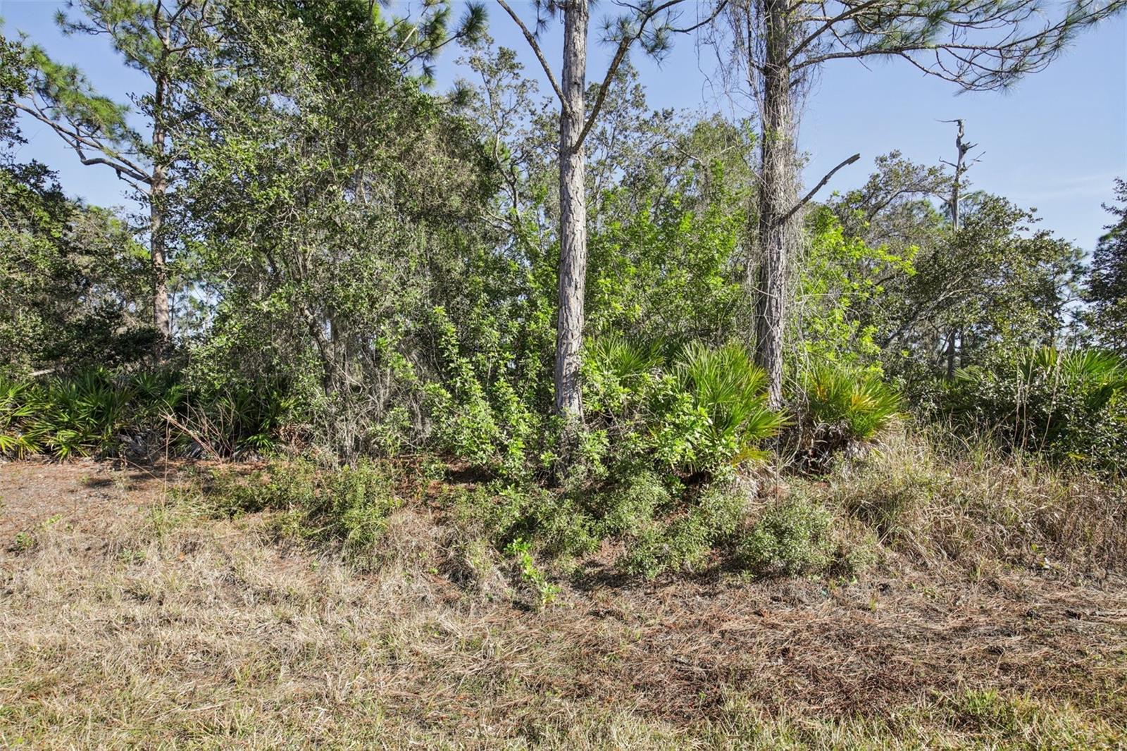 Image 2 of 13 For 3124 Vessels Road