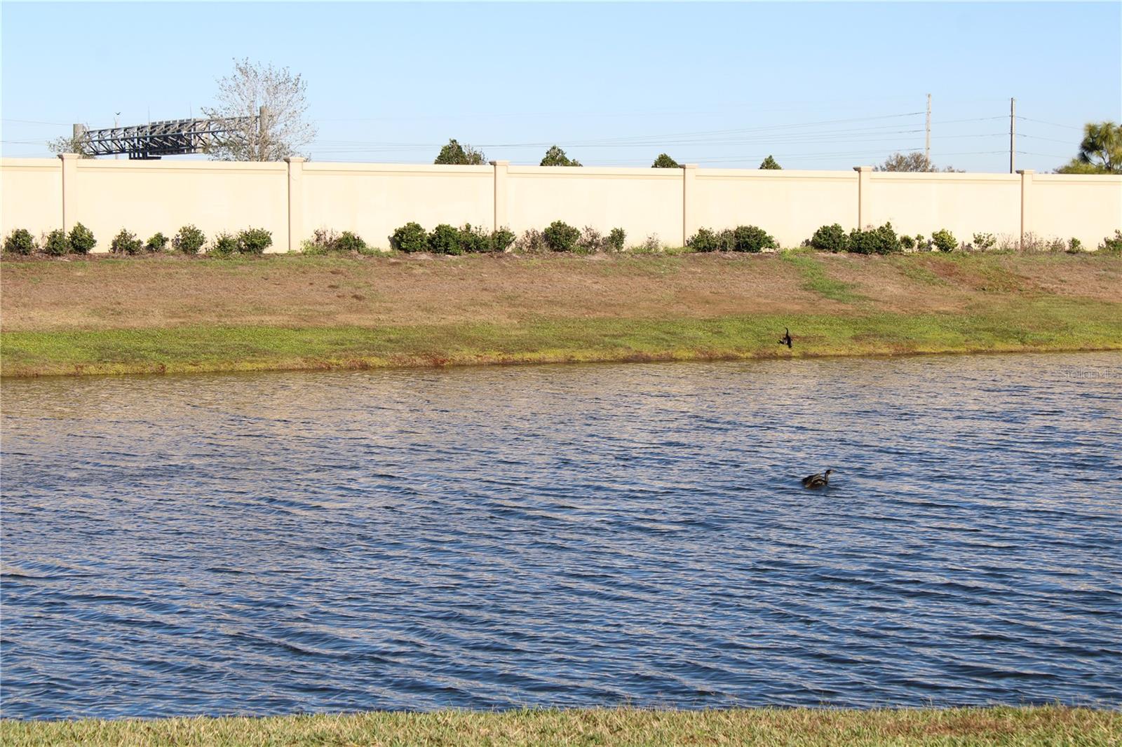 Image 43 of 64 For 8232 Reefbay Cove