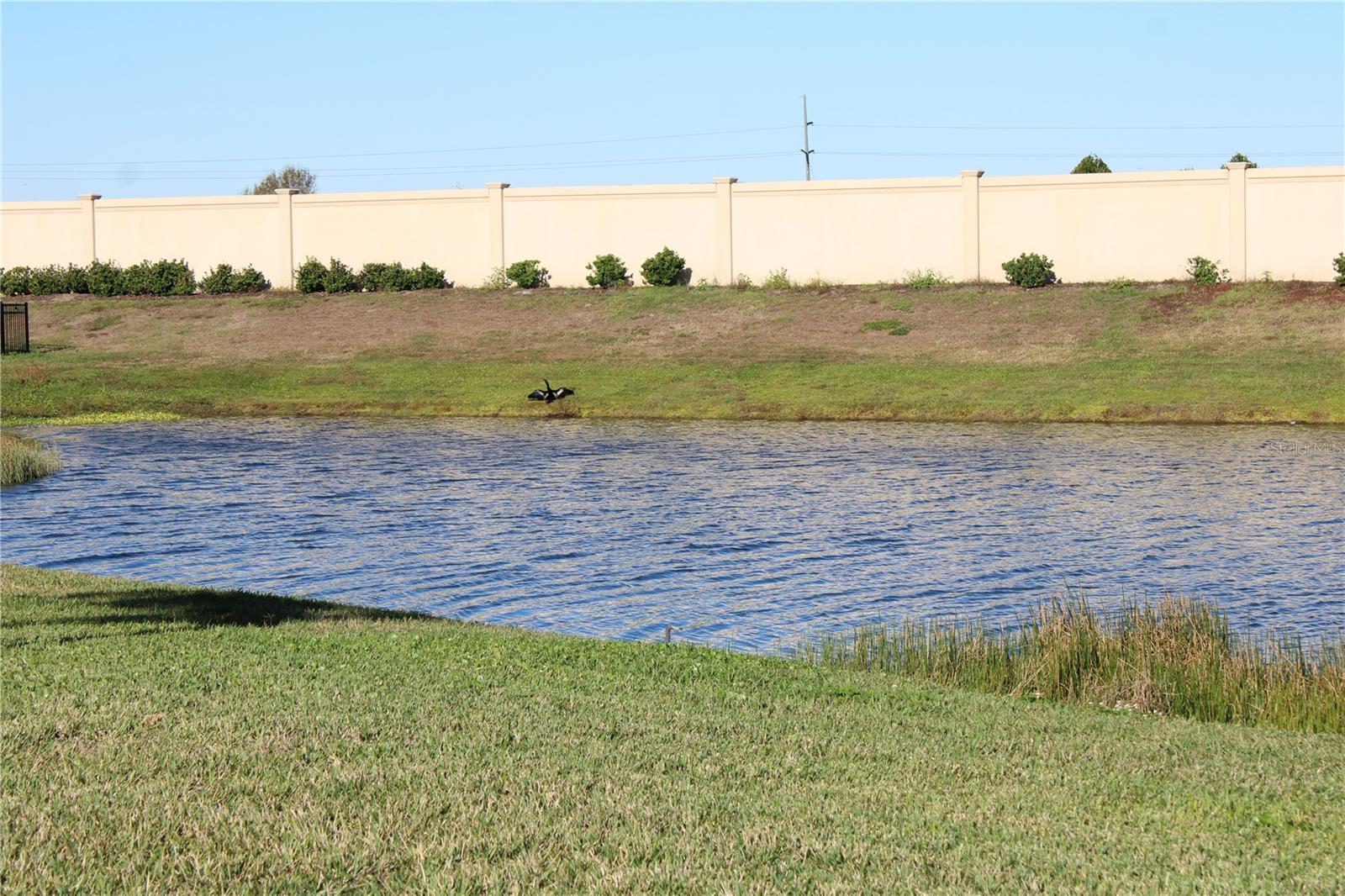 Image 45 of 64 For 8232 Reefbay Cove