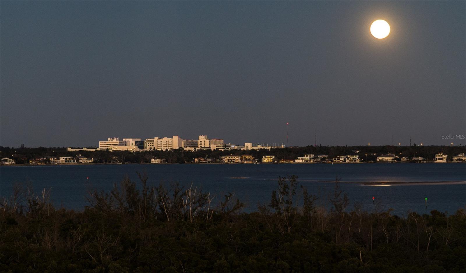 Listing photo id 20 for 1750 Benjamin Franklin Drive 10g