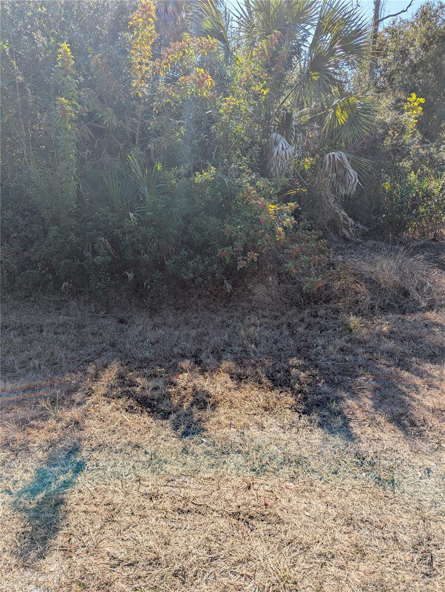 Image 3 of 16 For Lots 1,2&3 De Leon Drive