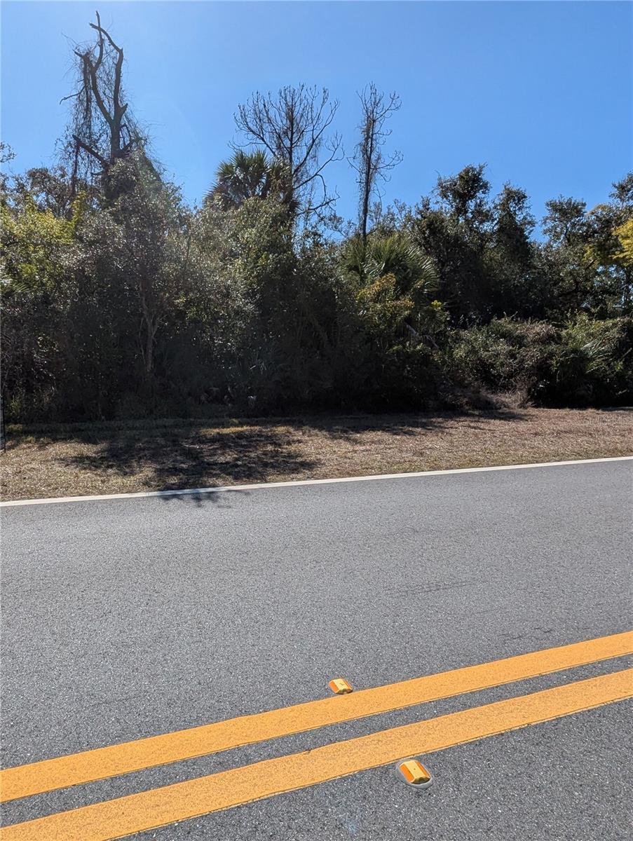 Image 6 of 16 For Lots 1,2&3 De Leon Drive