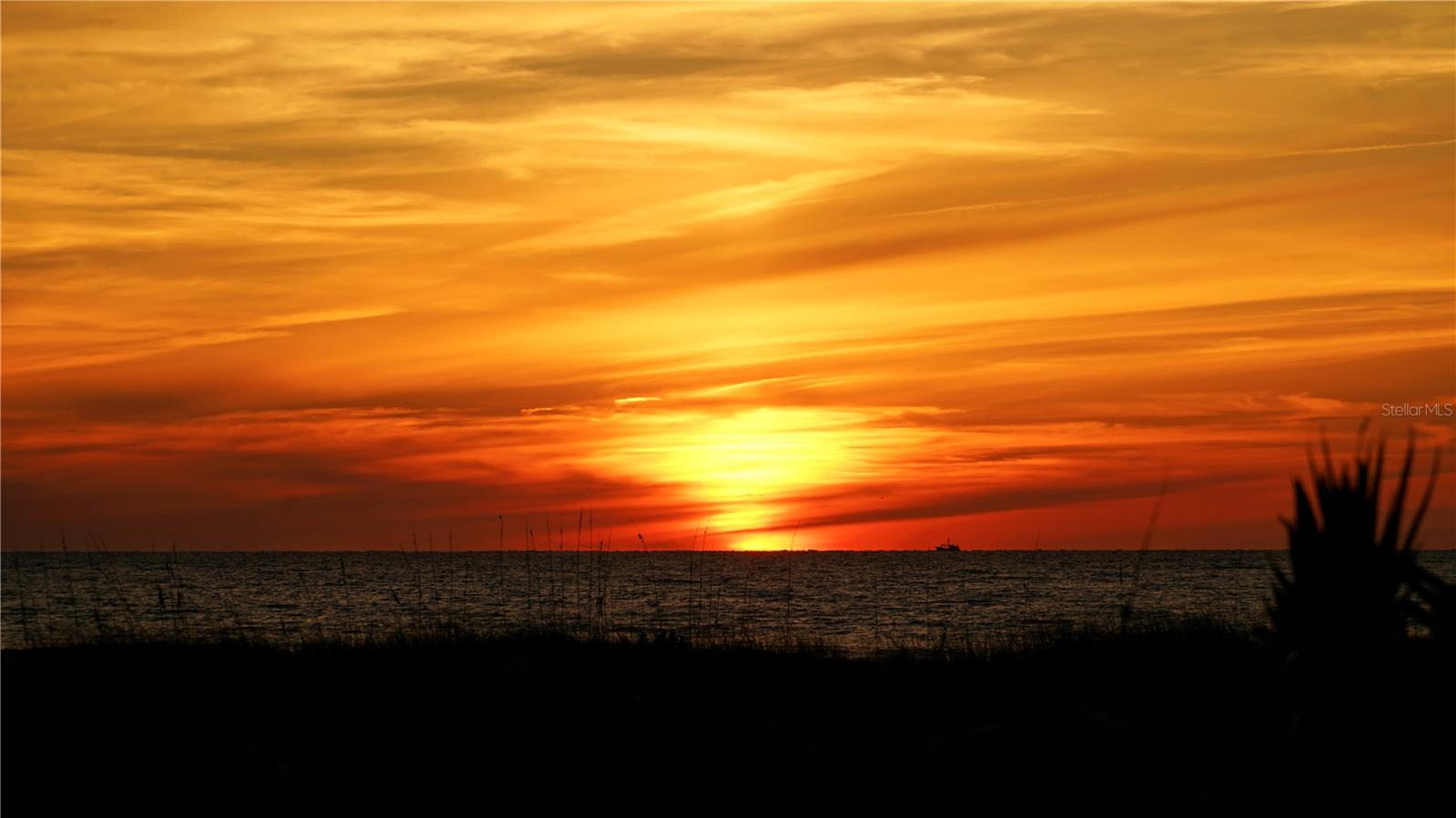 Image 39 of 56 For 1001 Benjamin Franklin Drive 503