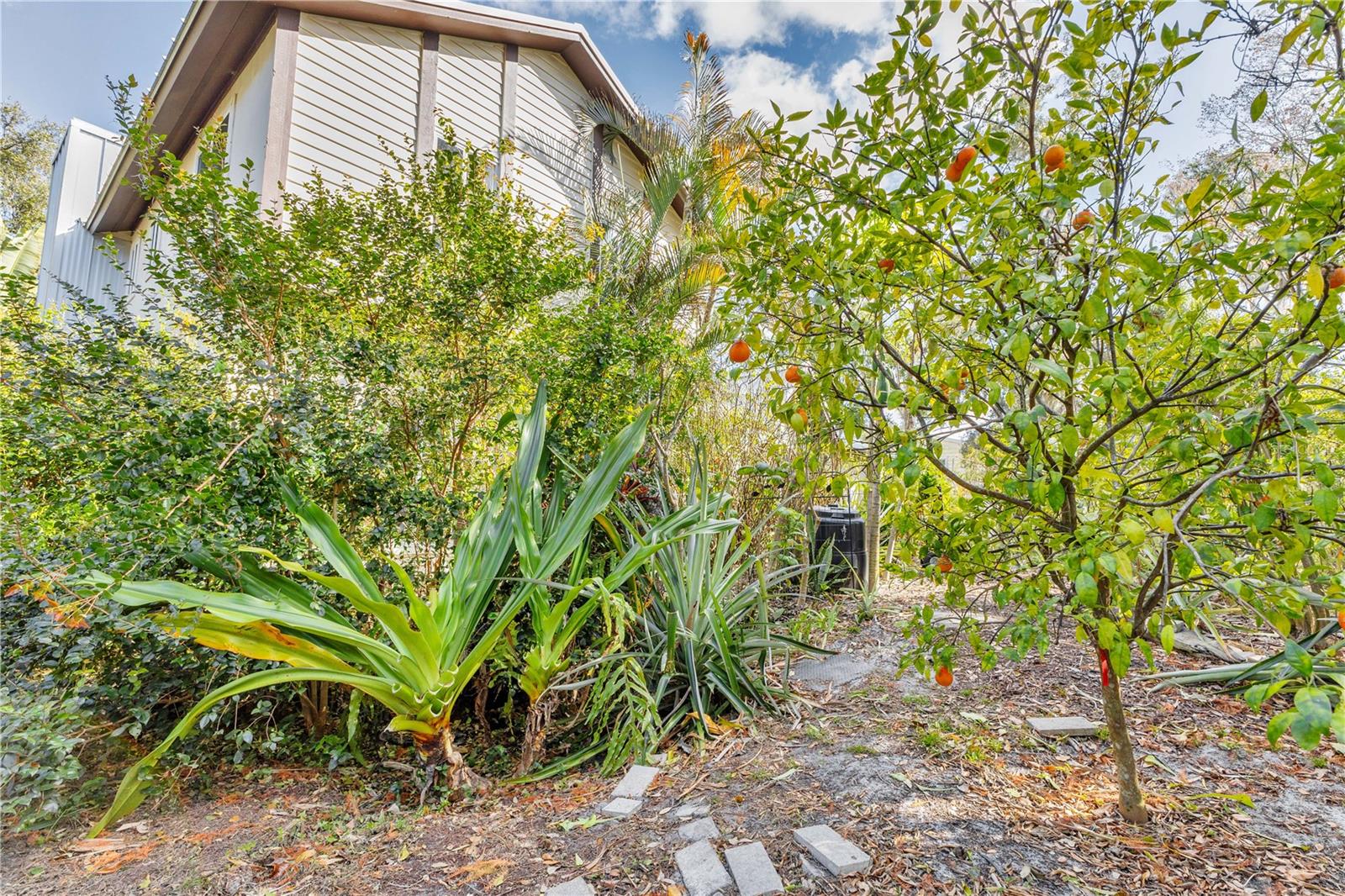 Image 43 of 48 For 1035 Sirus Trail