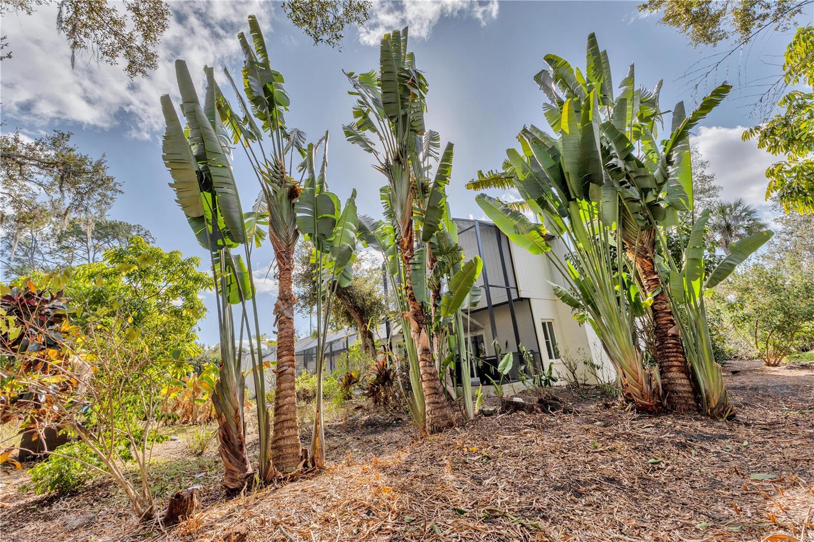 Image 44 of 48 For 1035 Sirus Trail