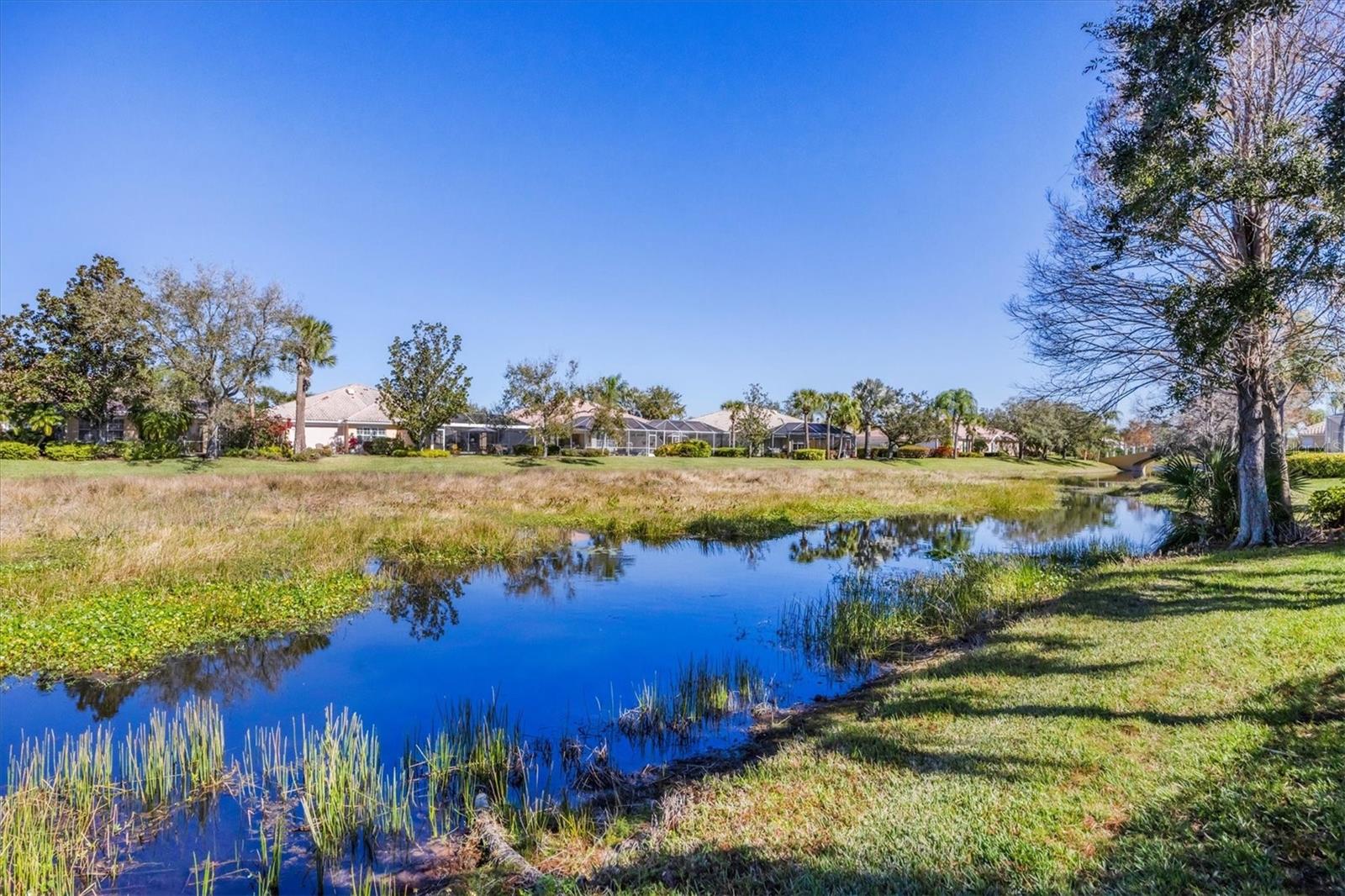 Image 52 of 90 For 5573 Lucia Place