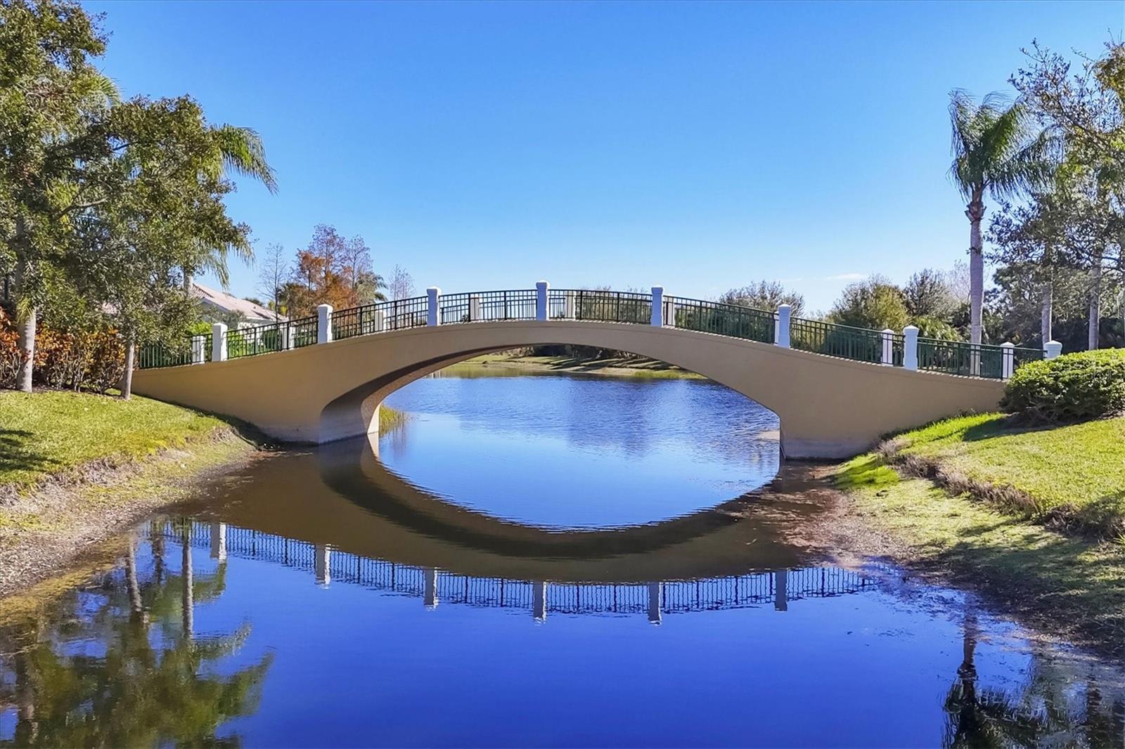 Image 54 of 90 For 5573 Lucia Place