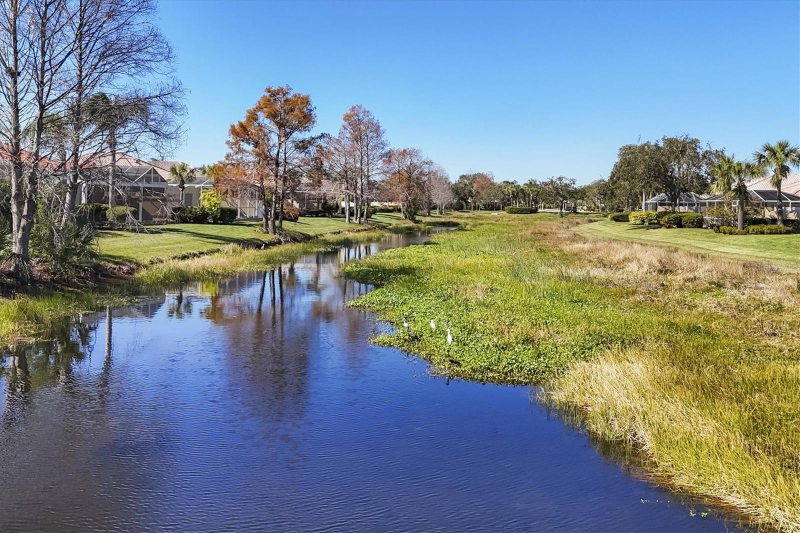 Image 55 of 90 For 5573 Lucia Place