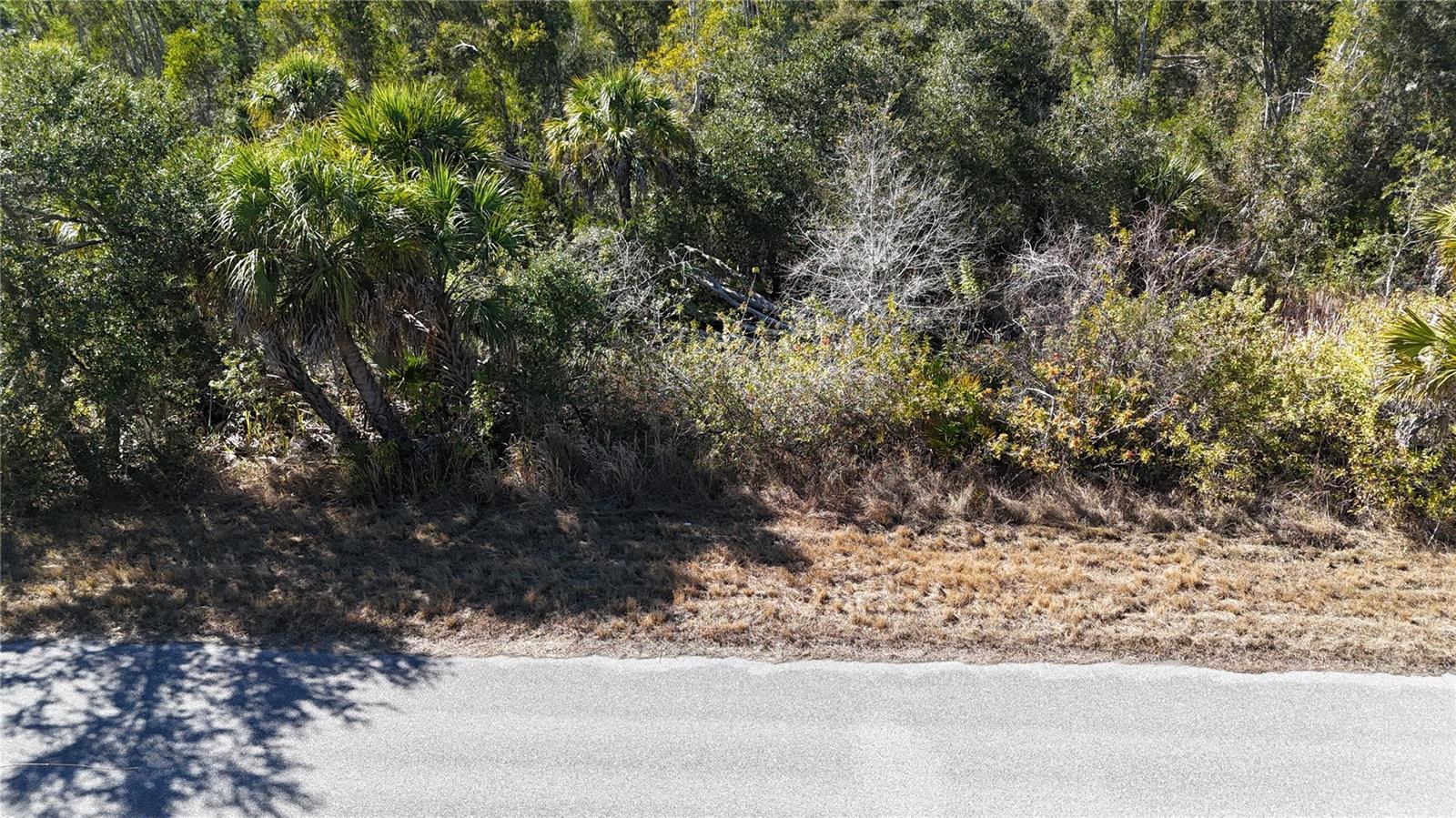 Image 2 of 5 For 1071 Forrestal Street