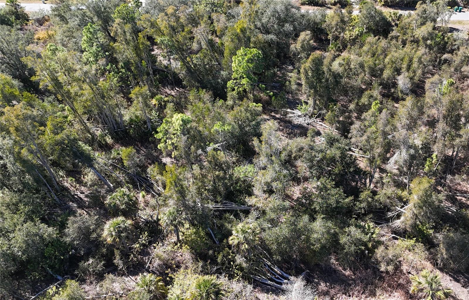 Image 3 of 5 For 1071 Forrestal Street