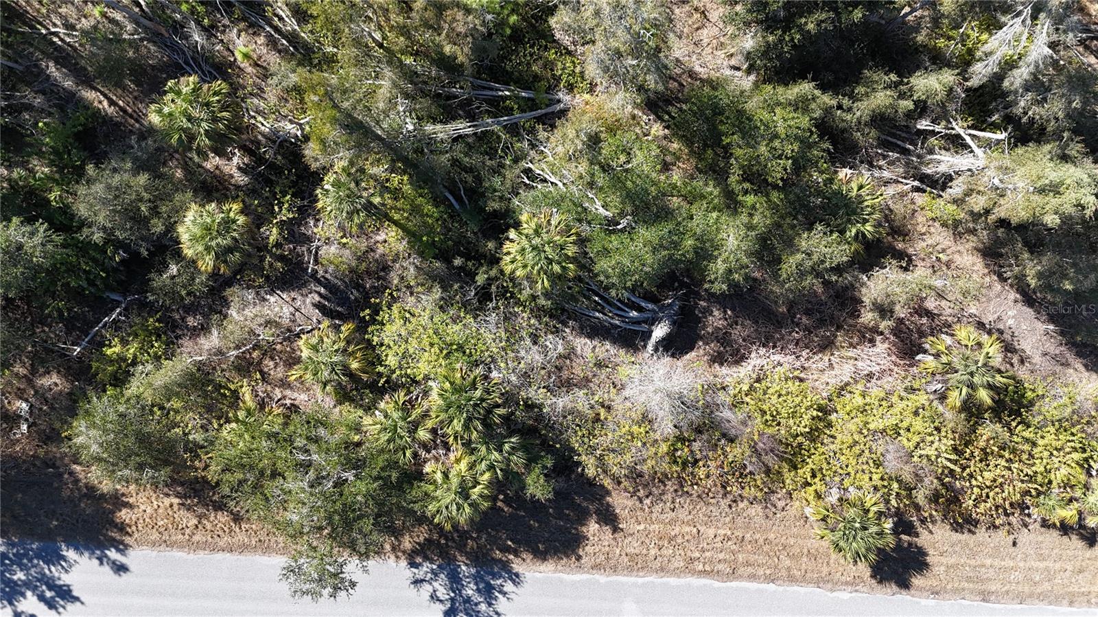 Image 4 of 5 For 1071 Forrestal Street