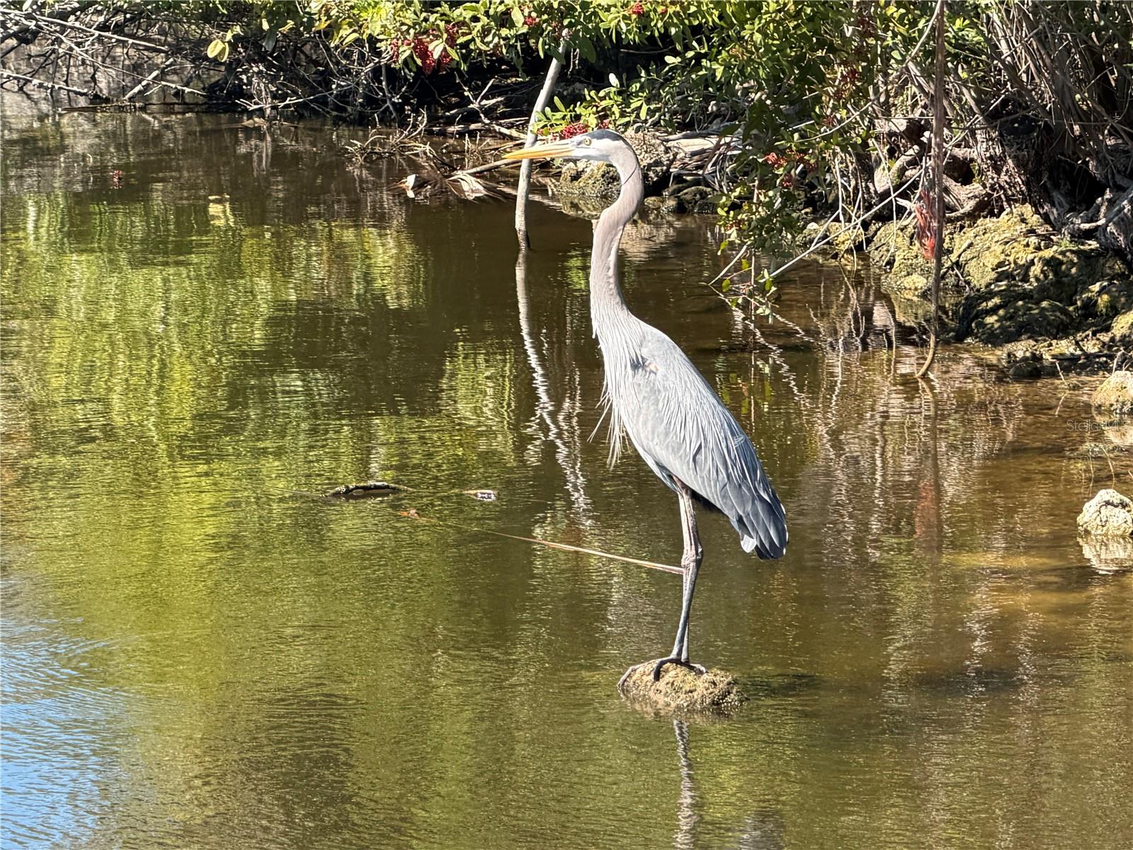 Image 12 of 13 For 7 & 9 Chickadee Lane