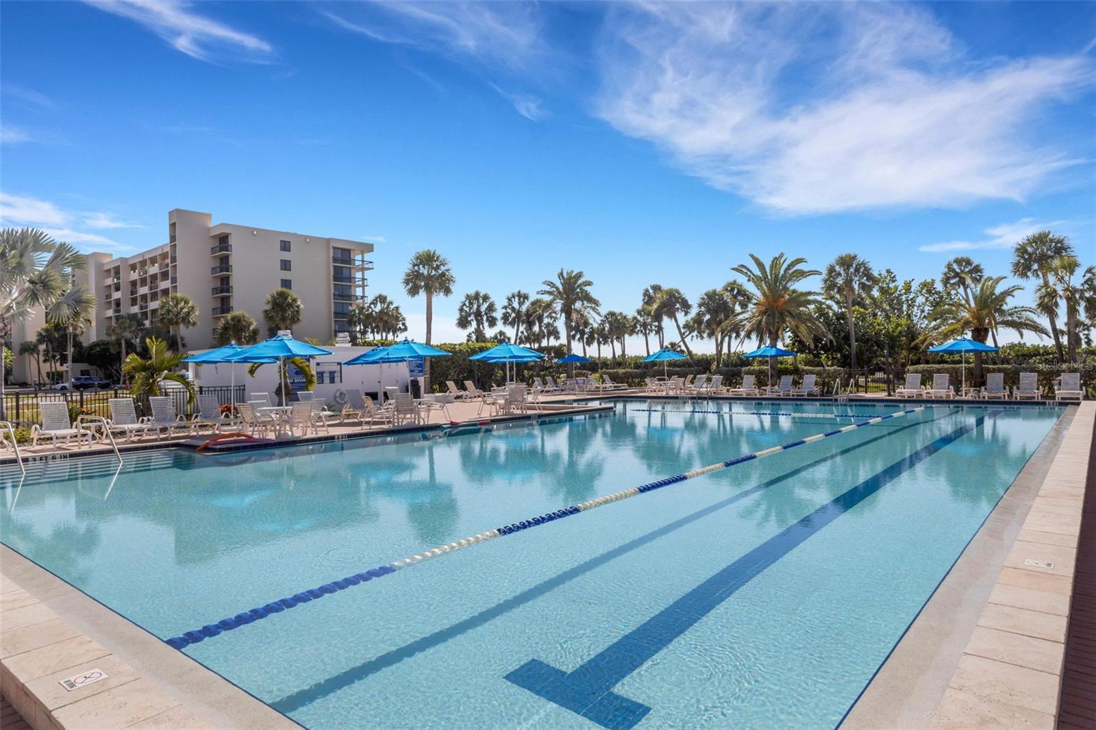 Image 53 of 64 For 1105 Gulf Of Mexico Drive 401