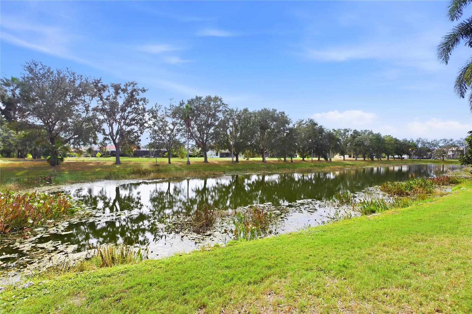 Image 31 of 40 For 12806 7th Avenue Ne