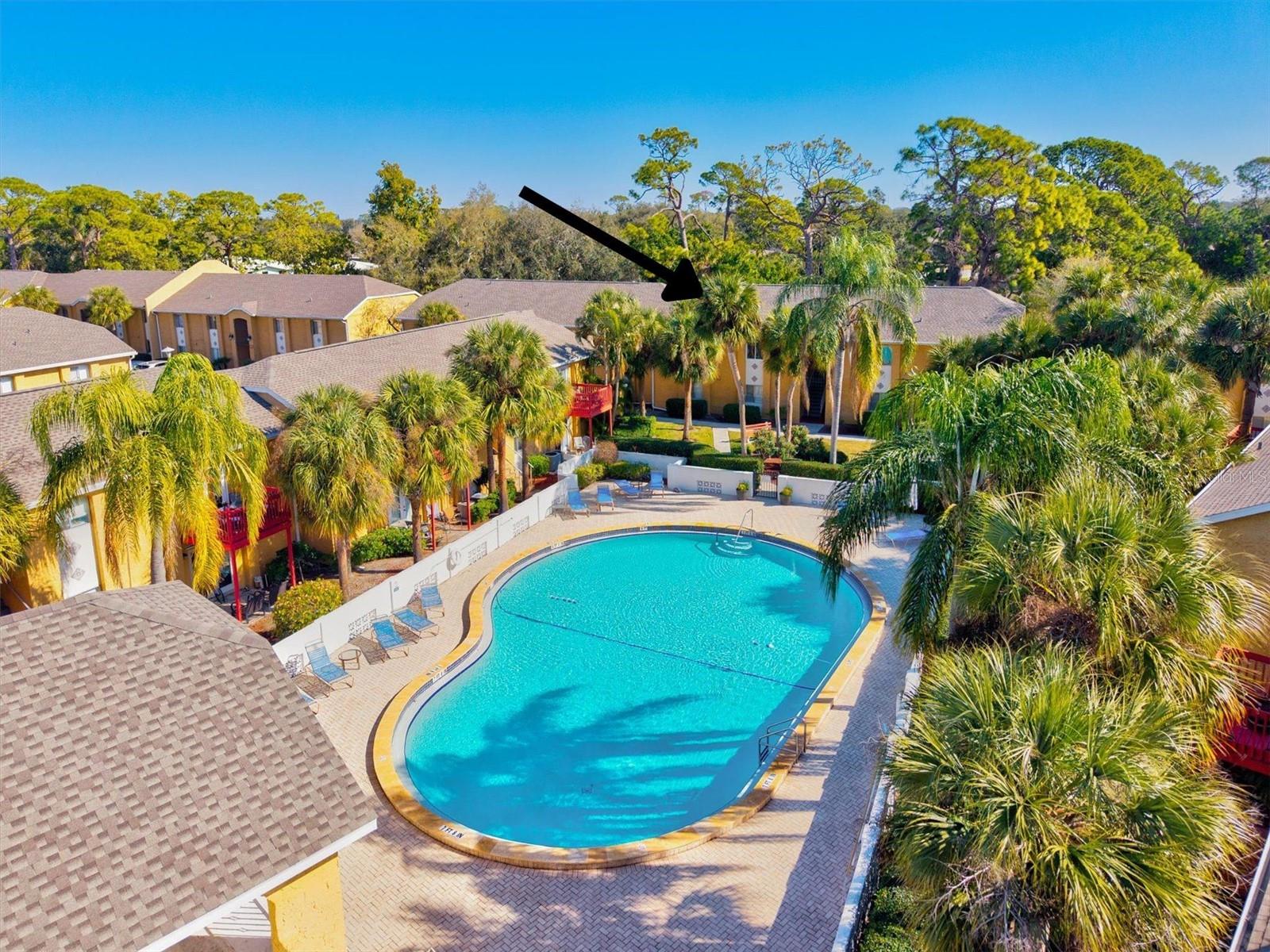 Image 33 of 41 For 1825 Parakeet Way 503