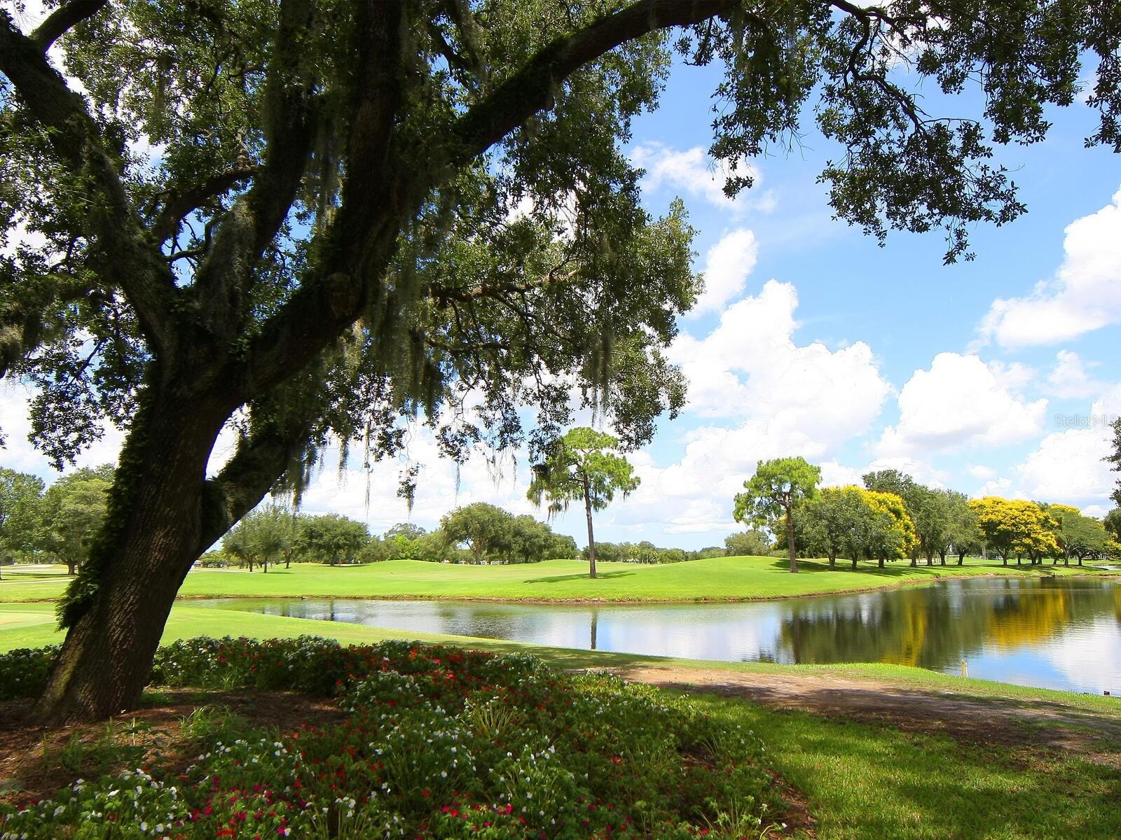 Image 50 of 51 For 6994 Country Club Drive N