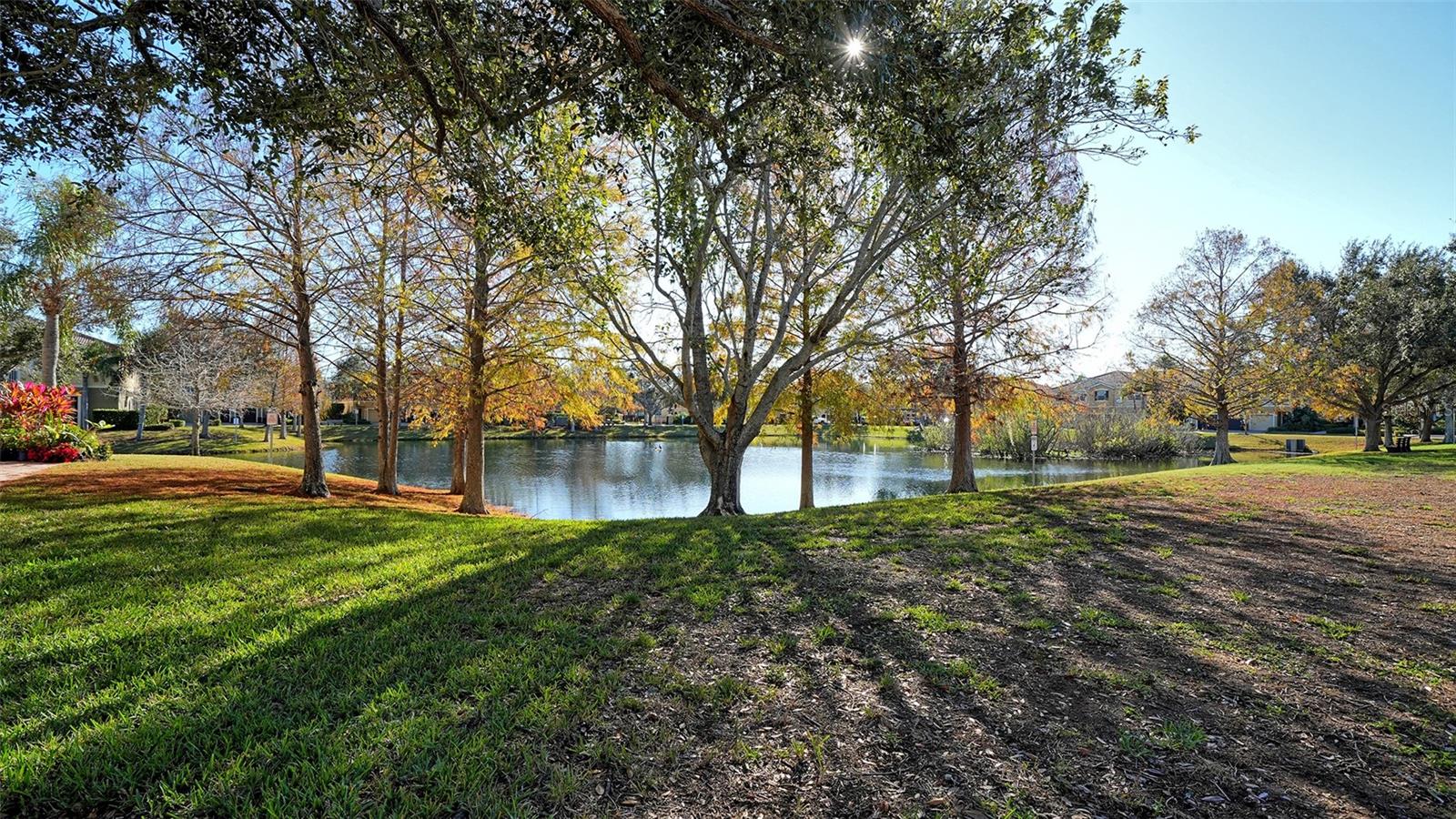 Image 29 of 35 For 7983 Limestone Lane 14-201