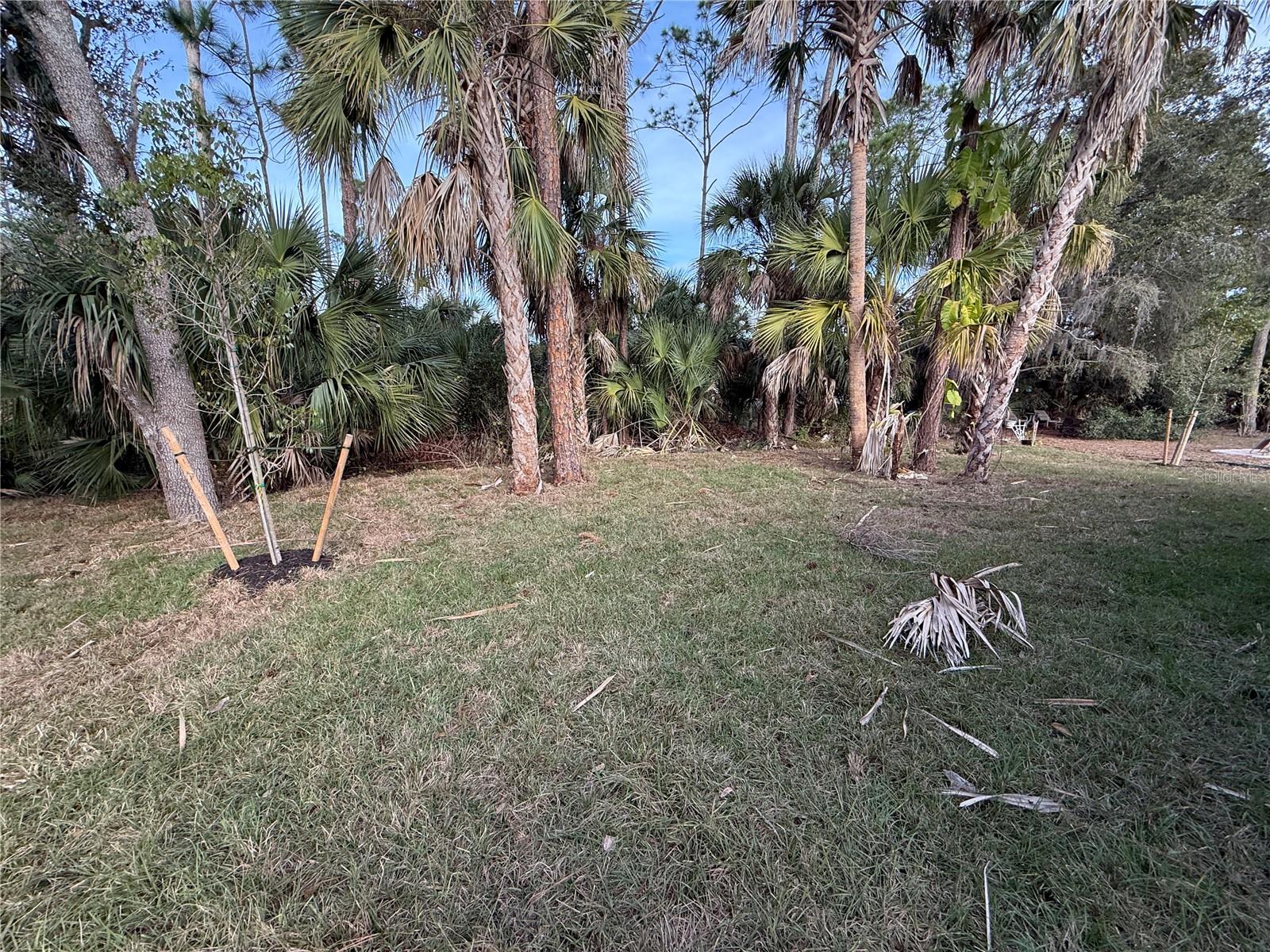 Image 33 of 35 For 3665 Cranberry Boulevard