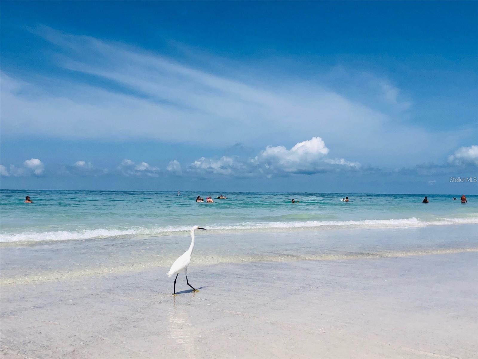 Image 13 of 14 For 102 Sunset Lane