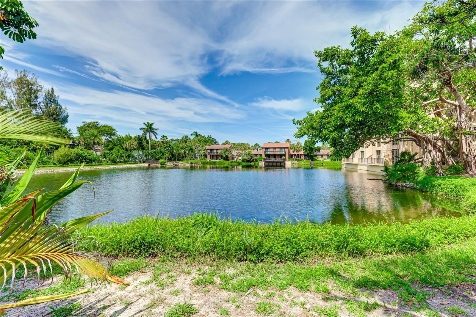 Image 22 of 40 For 11 Sandy Cove Road 8f