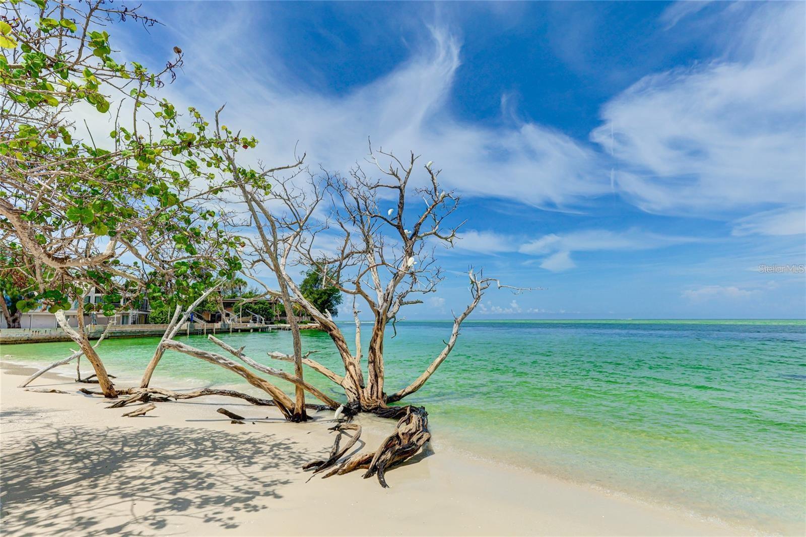 Image 38 of 40 For 11 Sandy Cove Road 8f