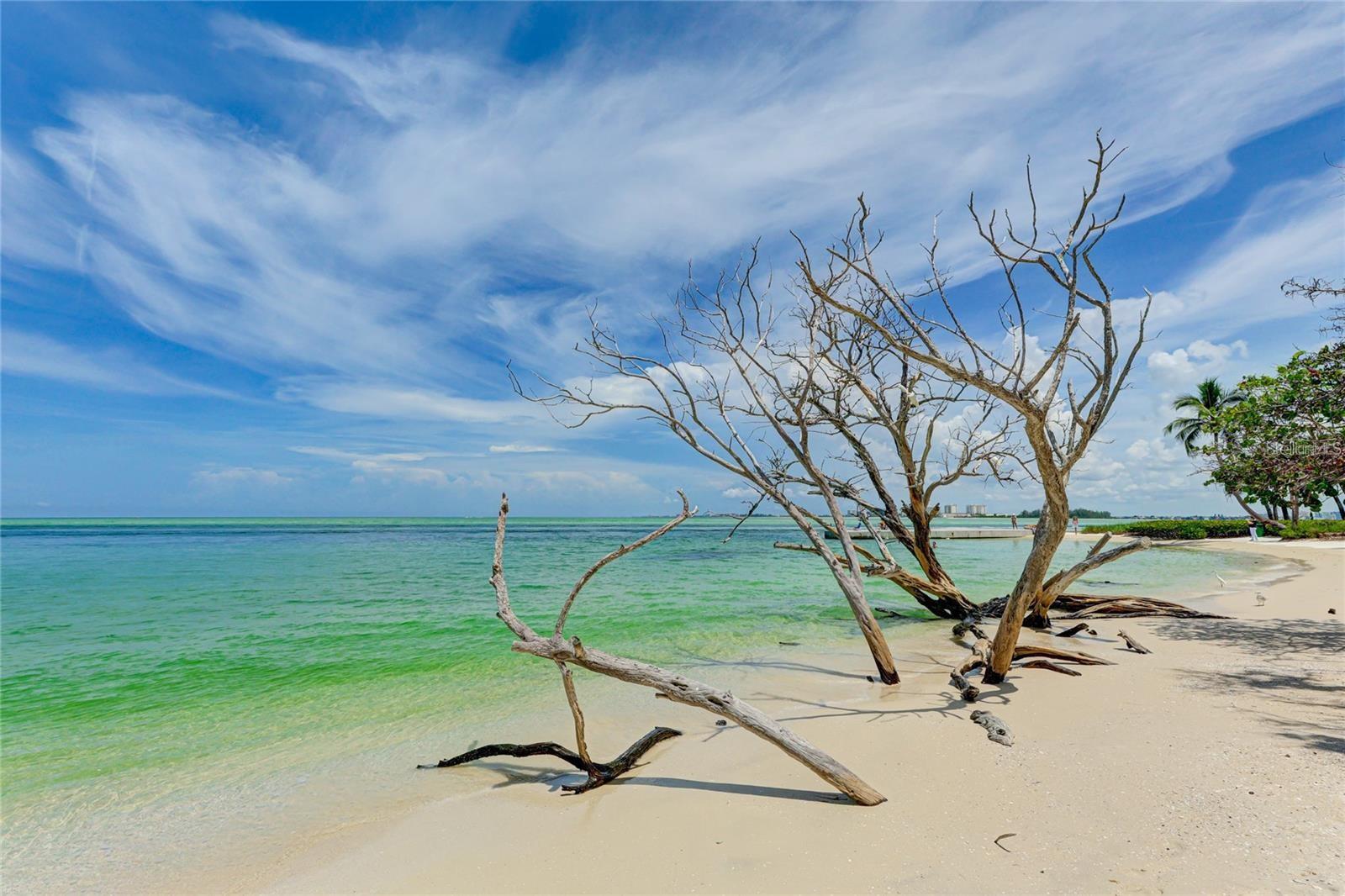 Image 39 of 40 For 11 Sandy Cove Road 8f