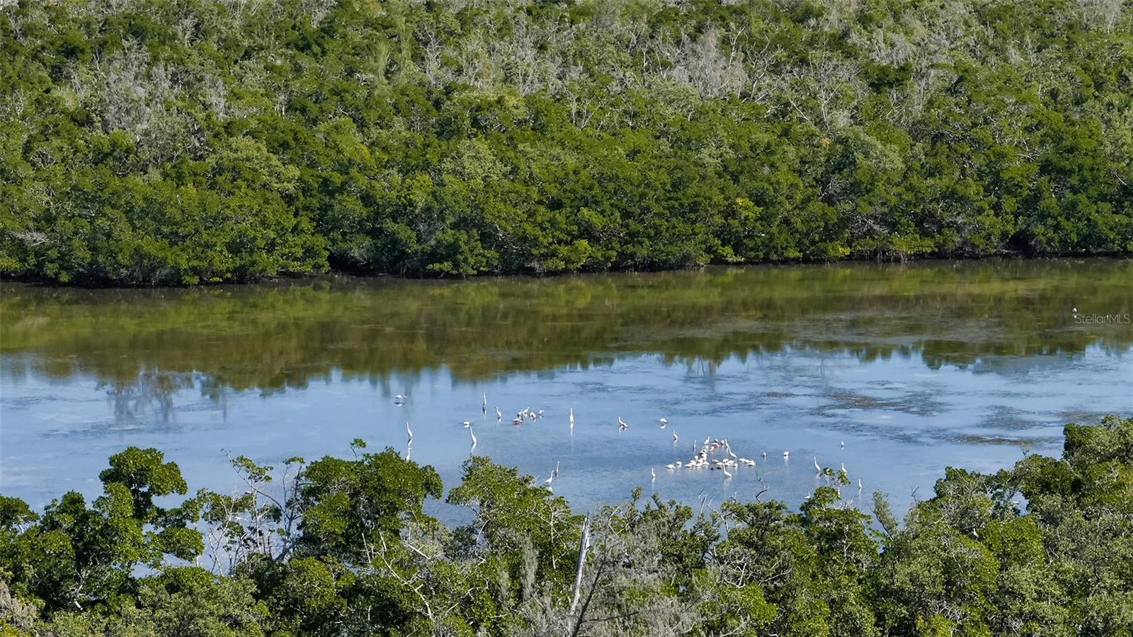 Image 58 of 63 For 1750 Benjamin Franklin Drive Ph-f